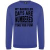 Pro sweatshirt Thumbnail
